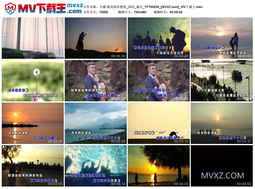 小潘-我真的好想你_国语_流行_YF700239